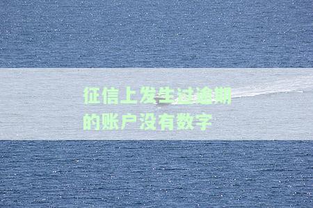 征信上发生过逾期的账户没有数字显示：如何处理？