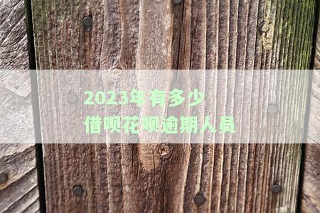 2023年有多少借呗花呗逾期人员-2023年有多少借呗花呗逾期人员呢