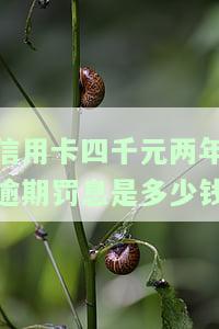 信用卡4千逾期两年会怎样？影响、处罚及还款金额全解析