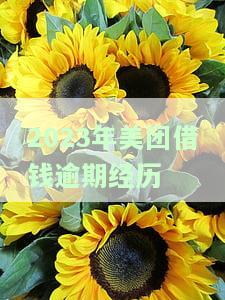 2023年美团借钱逾期经历怎么写，我的2023年美团借钱逾期经历分享与教训