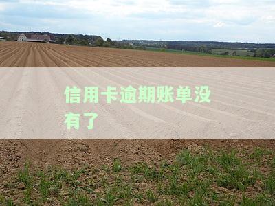信用卡逾期账单消失？额度被冻结？逾期记录怎么办？全解在这里！