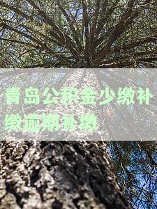 青岛公积金补缴政策及流程全解析，连续性受影响吗？