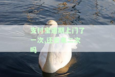 支付宝逾期上门一次，是否会再次？逾期一年多，上门走访真的吗？