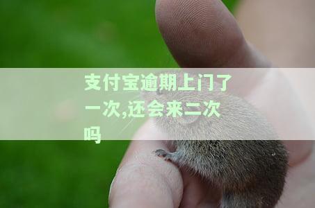 支付宝逾期上门后，警惕！支付宝逾期可能引发上门催收，切勿忽视还款责任