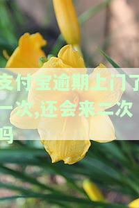 支付宝逾期上门了一次,还会来二次吗-支付宝逾期上门了一次,还会来二次吗