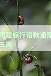 同程旅行借款逾期三天-同程旅行借款逾期三天会怎么样