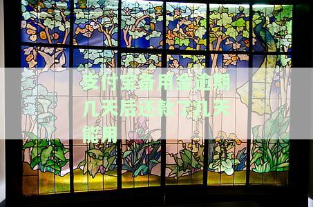 支付宝备用金逾期后还款能否继续使用？安全吗？会对信用产生影响吗？逾期多久可以取回？
