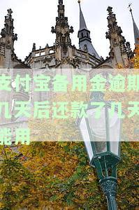 支付宝备用金逾期了还完多久能用，支付宝备用金逾期后还款，多久可以再次使用？