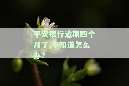 平安银行逾期一个月会怎么样，逾期一个月，平安银行会有哪些后果？