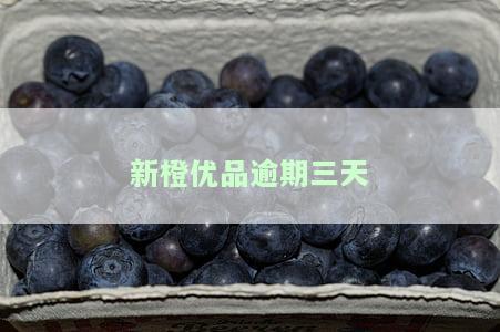 新橙优品逾期1天还完还可以再借吗，新橙优品：逾期1天还款后，还能再次借款吗？
