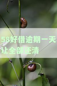 58好借逾期一天让全部还清可以吗，58好借：逾期一天是否需要偿还全部欠款？