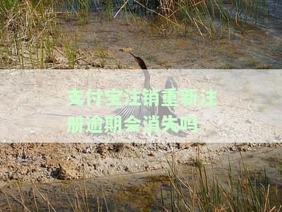 支付宝逾期还清注销重新注册：额度、影响与能否使用？