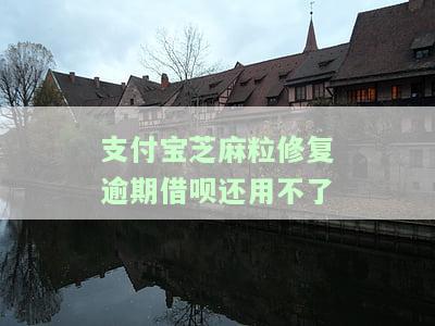 借呗芝麻逾期修复有用吗？支付宝借呗逾期芝麻修复后记录消失吗？逾期一天芝麻修复能否消除？