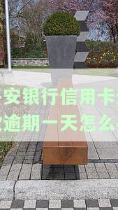 平安银行逾期还款1天：影响信用吗？如何处理？