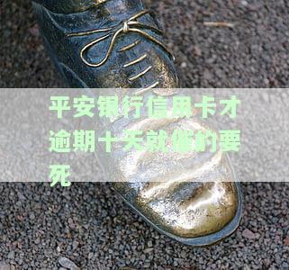 平安的信用卡逾期2天会上征信不，平安信用卡逾期两天是否会影响征信记录？