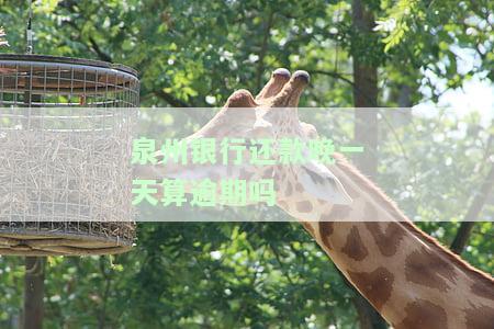 泉州银行贷款还清后能否再次申请？如何还款及信用贷款期限？