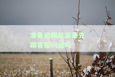 准备逾期前需要先跟客服沟通吗