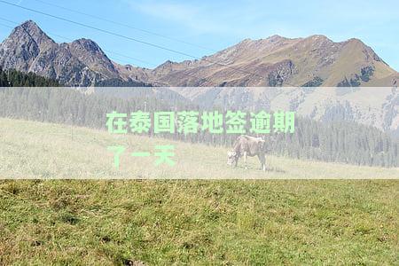 在泰国落地签逾期一天的影响及处理方法