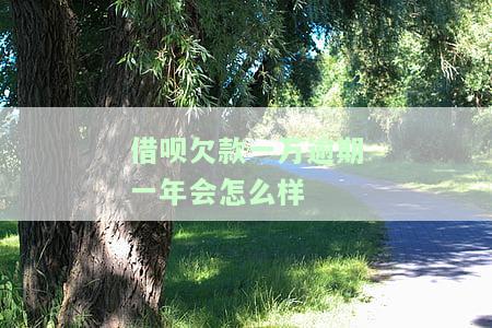 借呗欠款一万逾期一年会怎么样？会起诉吗？