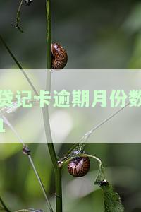 贷记卡逾期月份数4，信用卡逾期4个月：影响及解决方法
