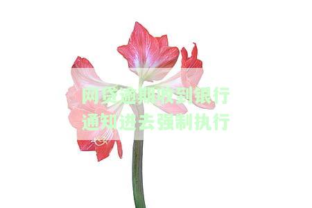网贷逾期收到银行通知进去强制执行