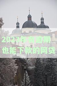 2020逾期中必下网贷，2020年，这些网贷平台逾期后仍有可能下款！
