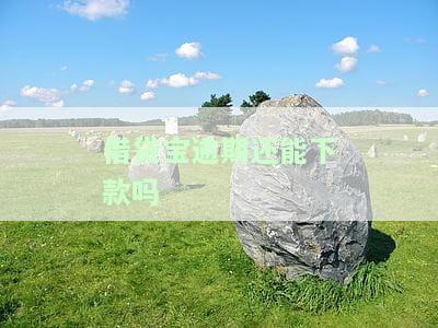 借贷宝逾期还能下款吗安全吗，借贷宝逾期后能否继续借款？安全性如何？