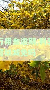 万用金可以期还款吗，如何申请万用金的期还款？