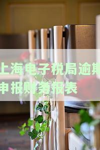 上海电子税务局能否逾期申报个税、税款和税务？网上申报流程及网站访问情况如何？