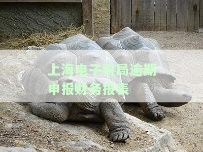 上海电子税务局怎么打印财务报表，如何在上海市电子税务局中打印财务报表？