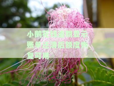 小鹅花钱还款后额度未实时恢复，如何解决？