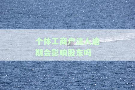 个体工商户法人欠款能执行店铺吗，个体工商户法人欠款能否执行其店铺？