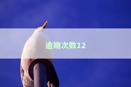 逾期次数1次：一笔贷款还是一笔？与多次逾期有何区别？逾期期数、消除时间及影响解析