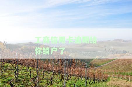 工商信用卡逾期被销户，欠款如何偿还？