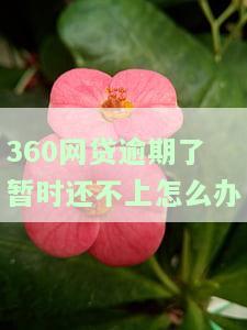 360网贷逾期了怎么处理最好？逾期后果、是否上征信及一次性还款解析