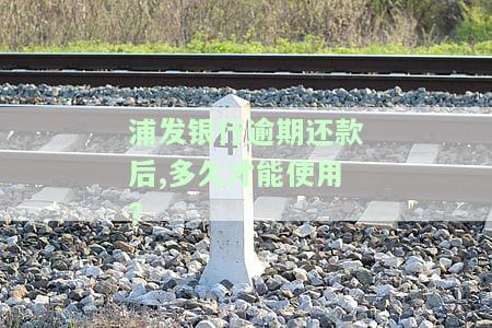 浦发银行逾期还款后还可以继续使用吗？逾期如何处理、能否申请分期、违约金能否撤销、是否会影响征信？