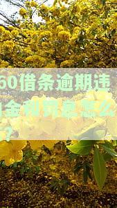 违约金和罚息能追回来吗，如何追回的违约金和罚息？