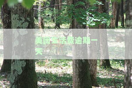 美团生活费逾期一天会打紧急联系人吗？答案揭晓！