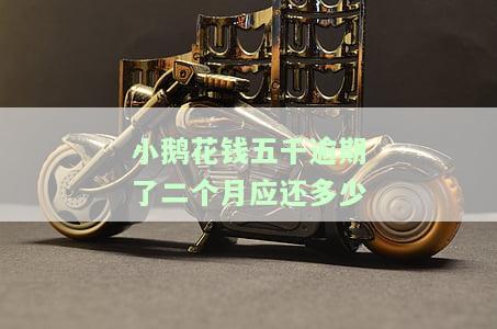 小鹅花钱逾期5天会不会上征信，逾期5天会否影响信用记录？小鹅花钱的还款政策解析