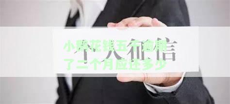 小鹅花钱逾期多久会起诉，小鹅花钱逾期多久会被起诉？你需要知道的法律知识