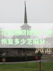 花呗逾期修复后还会上征信吗，花呗逾期修复后是否还会被记入征信记录？
