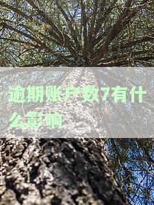 逾期账户数是什么意思？解释逾期账户数、逾期次数及月份数的概念与区别