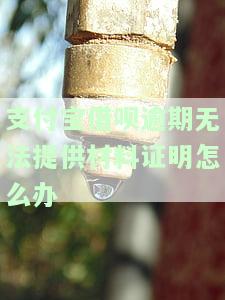 支付宝借呗逾期无法提供材料证明怎么办呢，如何解决支付宝借呗逾期无法提供材料证明的问题？