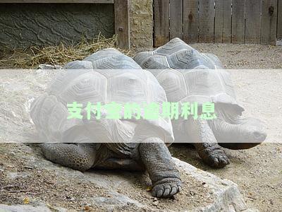 支付宝的逾期利息能退回吗，逾期未还款？支付宝的逾期利息可以申请退款吗？