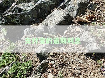 支付宝逾期利息含义、计算方式及合法性解析