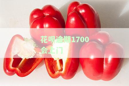 蚂蚁花呗欠款逾期说会上门来真的吗？会安排上门催收吗？