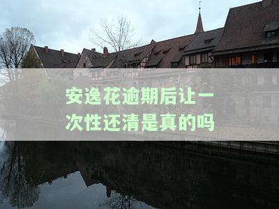 安逸花逾期后让一次性还清是真的吗-安逸花逾期了让我一次性还款后续还会有欠款吗?
