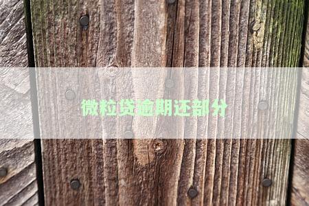 微粒贷逾期还部分-微粒贷逾期还部分还款有效果吗