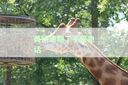 美团逾期不接电话不回短信按照拒绝还款，美团逾期：拒接电话、不回短信，将被视为拒绝还款
