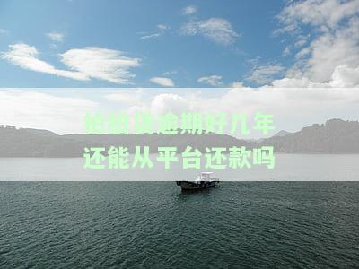 拍拍贷逾期好几年还能从平台还款吗安全吗，拍拍贷逾期多年，能否在平台上安全还款？